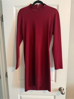The Vanity Room Burgundy Mock-Neck Long Sleeve Mini Dress